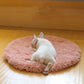 PETZZ Comfortabel Hondentapijt - Zacht tapijt voor honden - Winkelen
