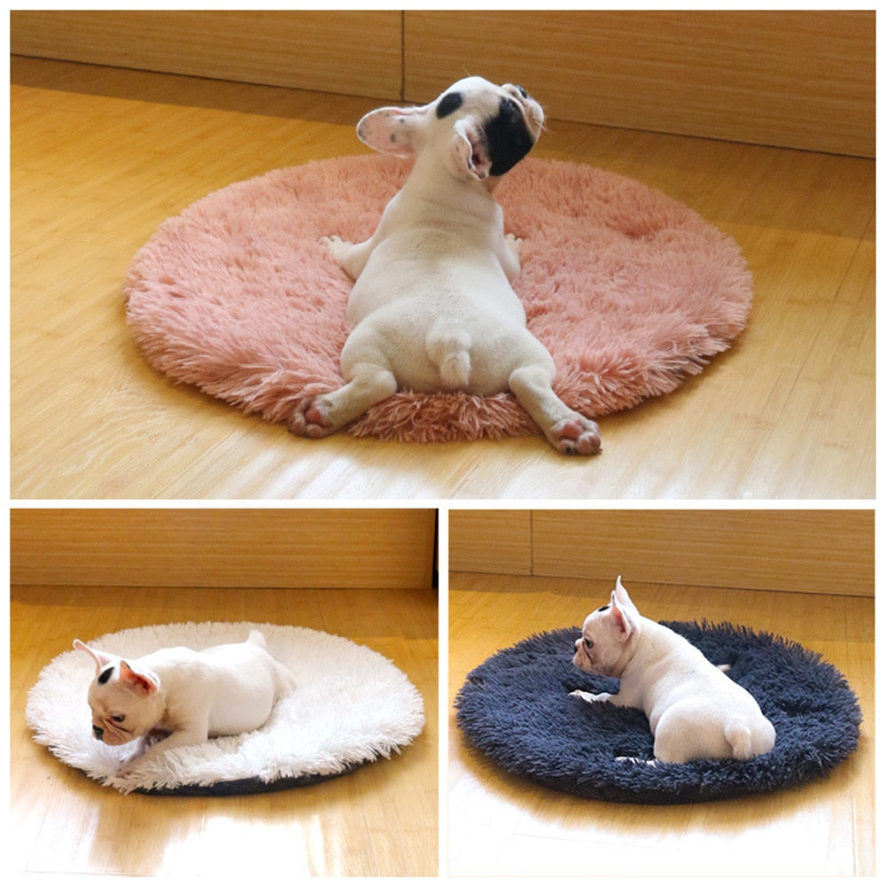 PETZZ Comfortabel Hondentapijt - Zacht tapijt voor honden - Winkelen
