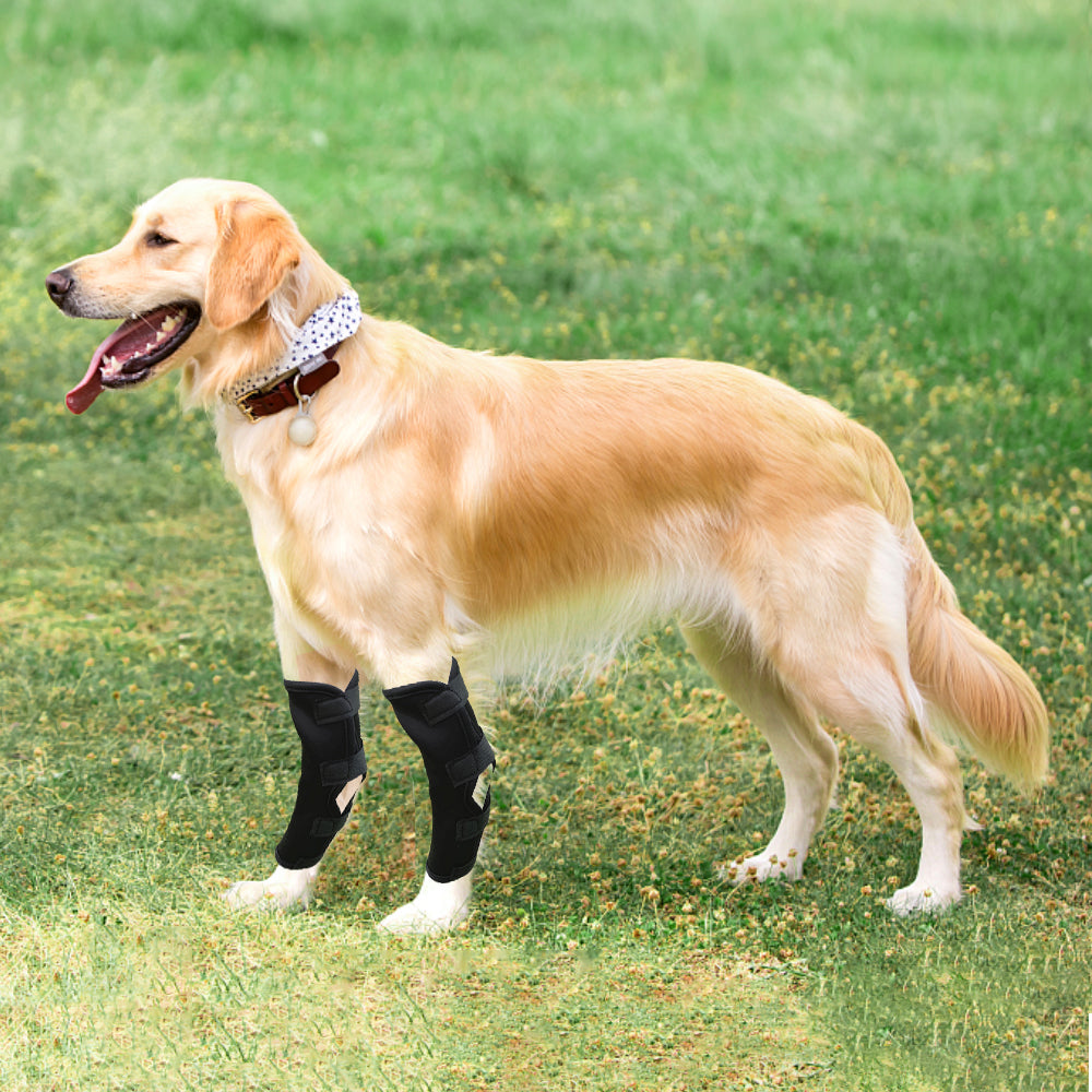 Bandage voor Honden - Verzorging voor honden met artrose - Hondenhoek