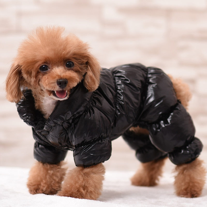 PETZZ Warme Winterjas - Een jas voor honden - Pret in winter - Hondenhoek