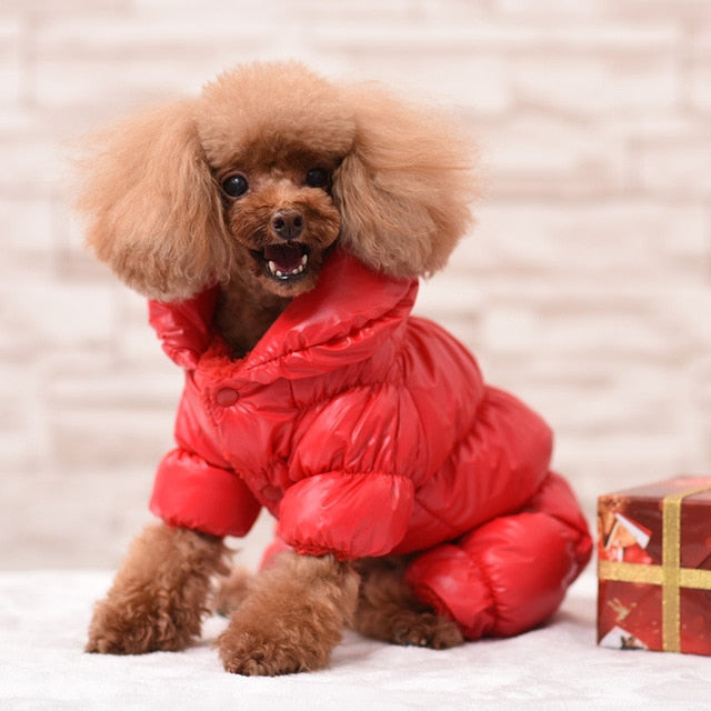 PETZZ Warme Winterjas - Een jas voor honden - Pret in winter - Hondenhoek