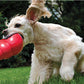 KONG Extreme Snoepbal - Duurzaam Speelgoed voor Honden - WOEF Boetiek