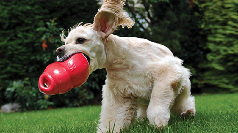 KONG Extreme Snoepbal - Duurzaam Speelgoed voor Honden - WOEF Boetiek