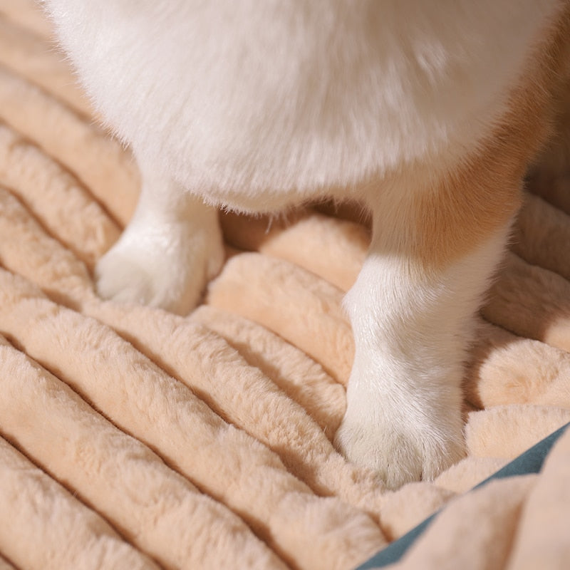 Hoopet Gewatteerde Ligzak voor Honden - Online op Hondenhoek.com
