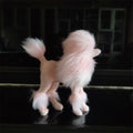 PETZZ Miniatuur Poedel Beeldjes - Ornamenten op Hondenhoek.com - Nieuw