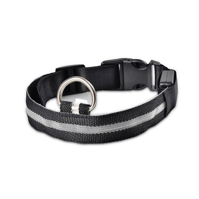 Glow In The Dark Halsband - Halsbanden voor honden - Hondenhoek