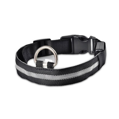 Glow In The Dark Halsband - Halsbanden voor honden - Hondenhoek