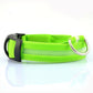 Glow In The Dark Halsband - Halsbanden voor honden - Hondenhoek