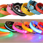 Glow In The Dark Halsband - Halsbanden voor honden - Hondenhoek