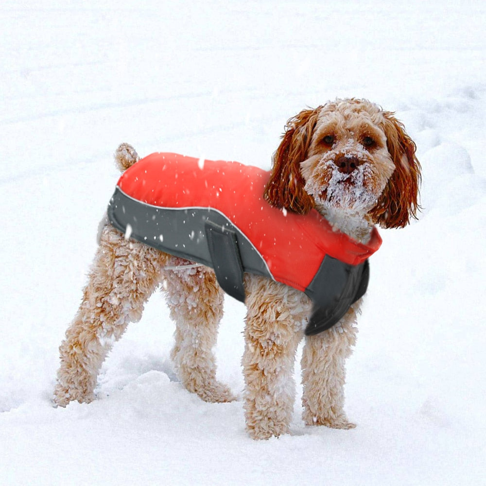 Winter Waterproof Honden Jas