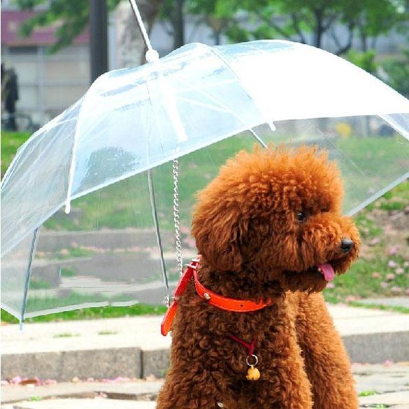 Transparante Honden Paraplu - Blijf Droog Met Uw Hond - WOEF Boetiek