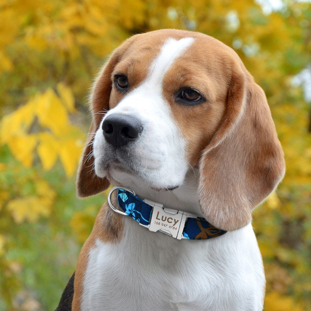 GEPERSONALISEERDE Halsband - Inclusief naam voor honden - WOEF Boetiek
