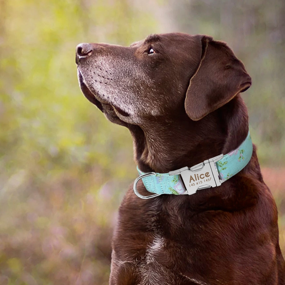 GEPERSONALISEERDE Halsband - Inclusief naam voor honden - WOEF Boetiek