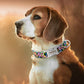 GEPERSONALISEERDE Halsband - Inclusief naam voor honden - WOEF Boetiek