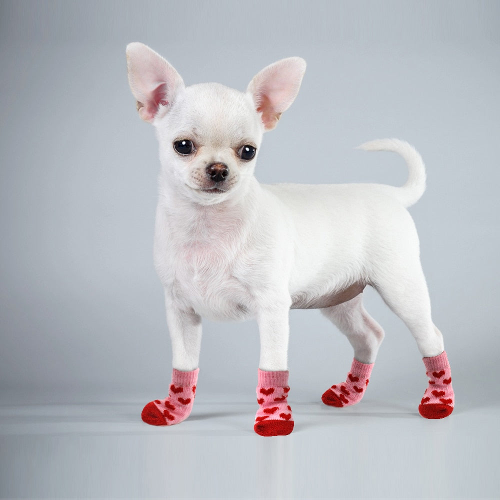 PETZZ Anti-Slip Chihuahua Sokken - Kleding voor Honden - Online Winkel