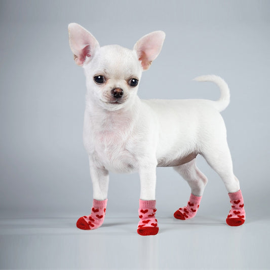 PETZZ Anti-Slip Chihuahua Sokken - Kleding voor Honden - Online Winkel