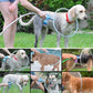 Douche pour chien à 360 degrés