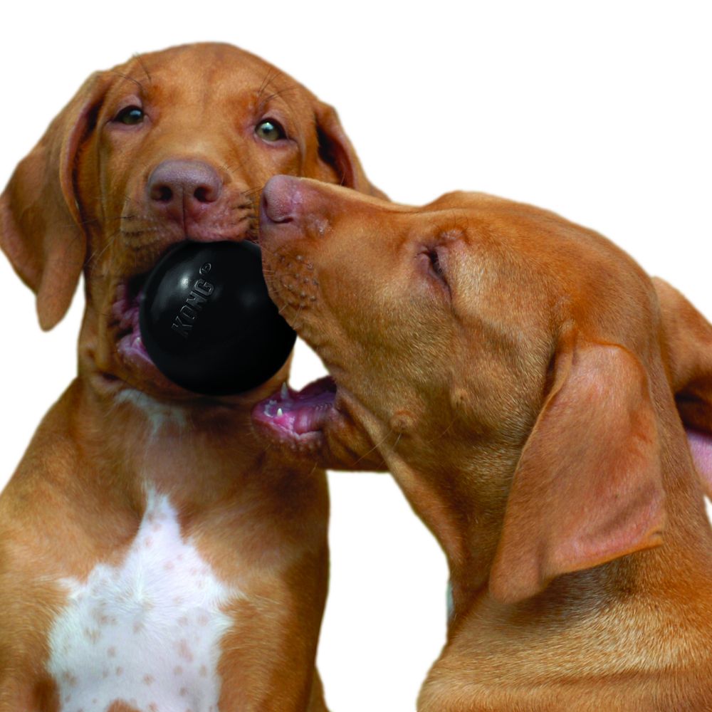 KONG ultra duurzame bal speelgoed honden