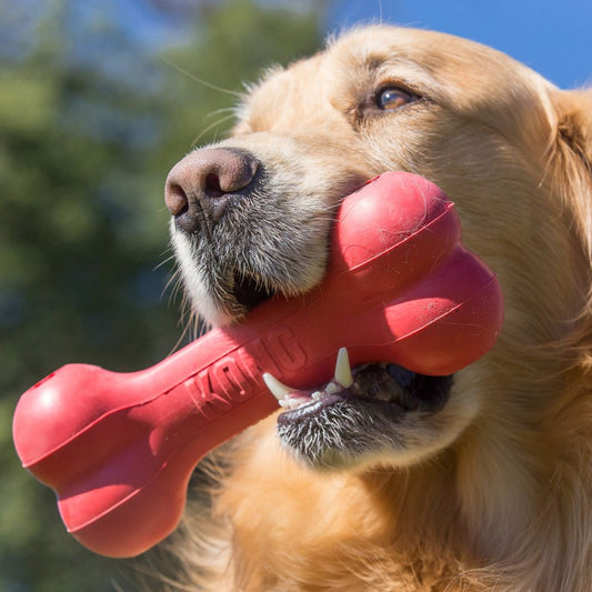 KONG Honden speelgoed extreem sterk