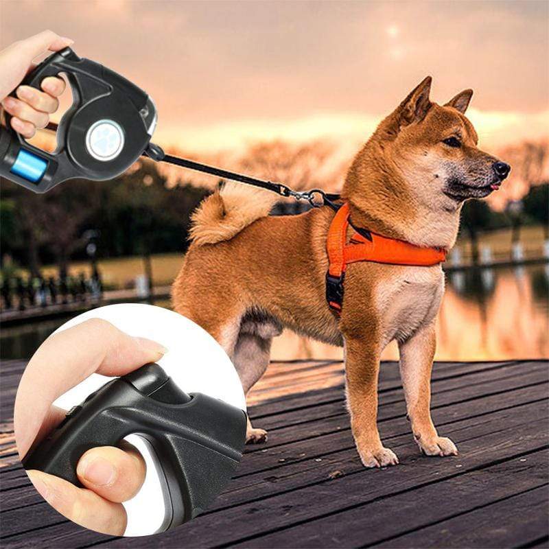 PETZZ Flashlight Riem Deluxe - Lijnen voor de Hond - Hondenhoek