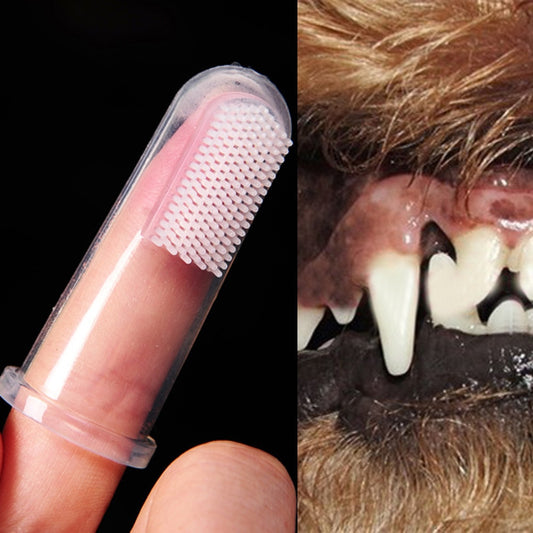Brosse à dents pour chien
