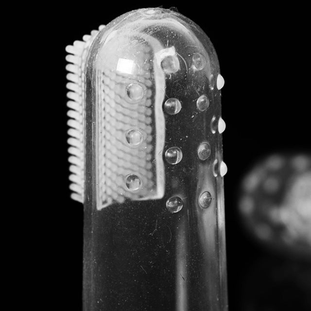 Dog toothbrush