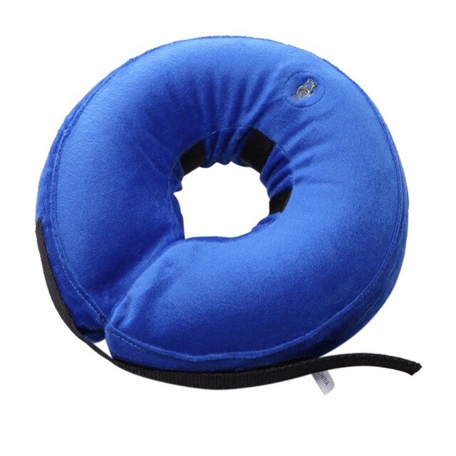 Protective Collar