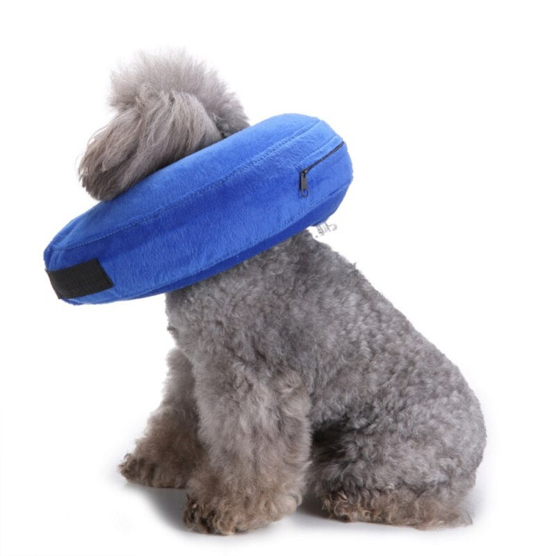 Protective Collar