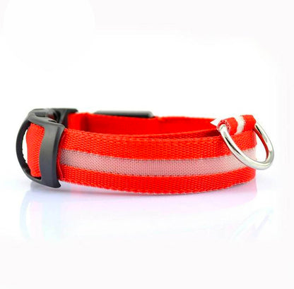 Glow In The Dark Halsband - Halsbanden voor honden - Hondenhoek