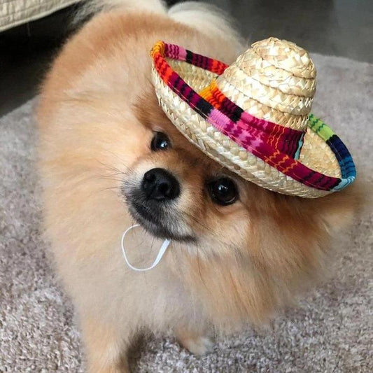 Cowboyzz™ Sombrero for Dogs