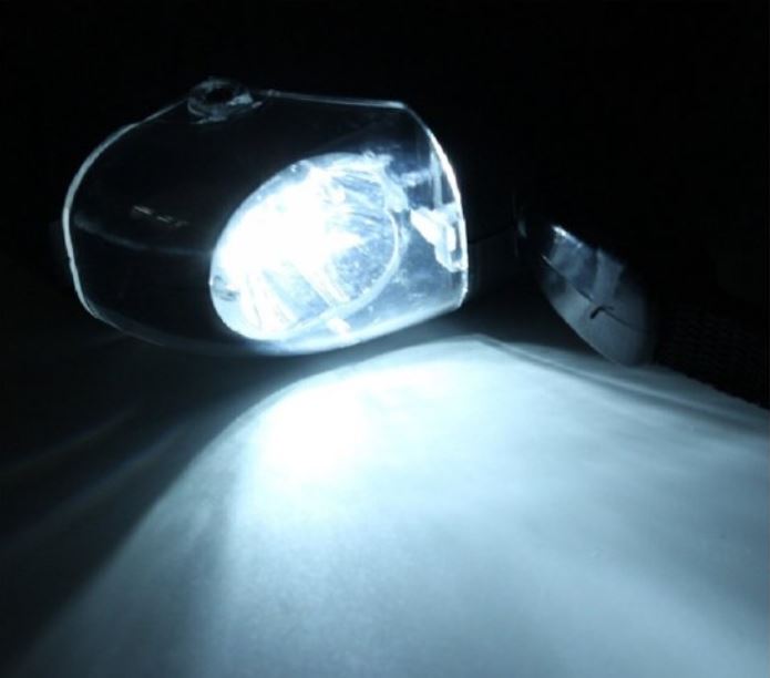 PETZZ Flashlight Riem Deluxe - Lijnen voor de Hond - Hondenhoek